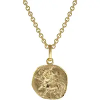 Trendor 75905-12 Sternzeichen für Kinder Schütze Gold 333 Anhänger + Halskette