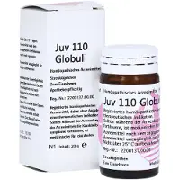 Phönix Laboratorium GmbH JUV 110 Globuli 20 g