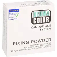 Kryolan Dermacolor Camouflage Fixierpuder large 60 g