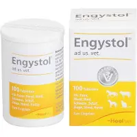 Heel Engystol ad Us.vet.tabletten 100 St