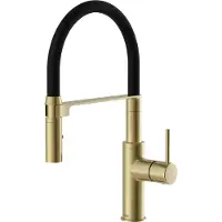 Lenz Flexible Spülenarmatur mit zwei Strahlarten, Wasser sparend, anti-Fingerabdruck, einfache Montage