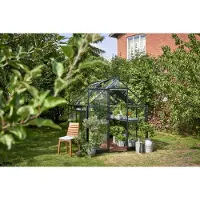 Halls Gewächshaus Qube 68 5,1 m² Sicherheitsglas 3 mm 198 x 259 cm schwarz