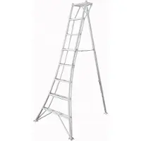 Niwaki Aluminium 3-Holm-Gartenleiter Silber 190x125x243 cm