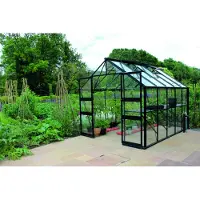 Halls Gewächshaus Blockley 812 3 mm Sicherheitsglas mit Fundament 256 x 380 cm schwarz