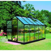 Halls Gewächshaus Popular 106 Polycarbonat 4 mm 193 x 319 cm schwarz