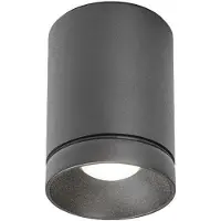 Wever & Ducre LED-Deckenaußenleuchte TAIO IP65 CEILING SURF 1.0 - 2700K A anthrazitgrau 2700K 180884A3 5404037312313