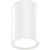 Wever & Ducre LED-Außenleuchte TRAM OUTDOOR CEILING SURF 1.0 - 3000K W weiß 747768W5 5404037334520