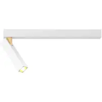 Wever & Ducre LED-Deckenstrahler MICK CEILING SURF 1.0 - 2700K J weiß-gold 2700K 159144J3 5404037307111