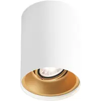 Wever & Ducre LED-Downlight SOLID CEILING SURF 1.0 LED DALI weiß/Gold 2700K 133765J3 5404037303175