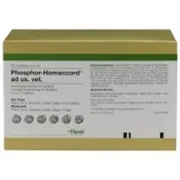 Heel PHOSPHOR HOMACCORD ad us.vet.Ampullen 50 St