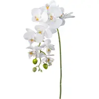 Creativ Green Kunstorchidee "Orchidee Phalaenopsis" mit real-touch-Blüten