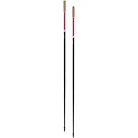 Swix Roadline 1 Pole 150cm