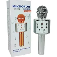 W&K & K Toy Mikrofon JYWK369-2 Silber
