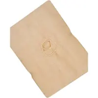 Floorstar GmbH Gazetuch, natur 80x180 cm, GZ 180 170-120-00-008 , 1 Packung = 10 Stück