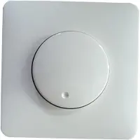 Honeywell Peha Abdeckung mit Knopf rws für Kombination D 80.610.02 HR