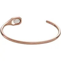 Skagen Damenarmband Skagen SKJ1748791