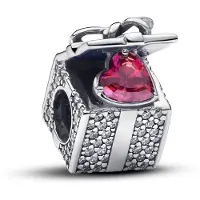 Pandora Moments 925 Sterling Silver Charm 793603C01