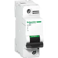 Schneider Electric LSSchalter C20H