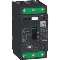 Schneider Electric GV4LE Mag 50A 100kA Elink