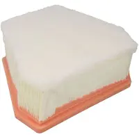 Sofima Luftfilter S3A19A