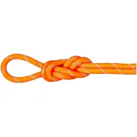 Mammut Bergseil 9.5 Alpine Dry Rope 70m
