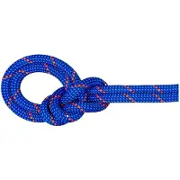 Mammut Bergseil 9.5 Crag Dry Rope 60m