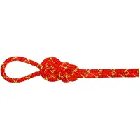 Mammut - 8.0 Alpine Core Protect Dry Rope - Halbseil Gr 50 m rot/weiß
