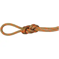 Mammut Alpine Dry 8 Mm Seil