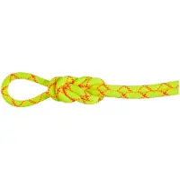 Mammut Bergseil 9.5 Alpine Core Protect Dry Rope 60m