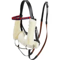 LeMieux Hobby Horse Racing Trensen Set