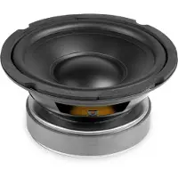 Fenton WPP16 Tieftöner Poly-Prop Hi-Fi 16cm/85W