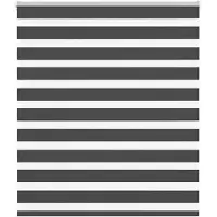 vidaXL Doppelrollo Schwarz 120x150 cm Stoffbreite 115,9 cm Polyester