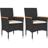 vidaXL Gartenstühle mit Kissen 2 Stk. Schwarz Poly Rattan