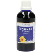 Hecht-Pharma Gmbh Topinambur Tropfen 100 ml
