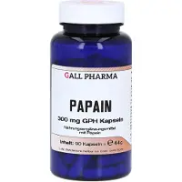 Hecht Pharma GmbH Geschäftsbereich Handelsware GALL PHARMA Papain 300 mg GPH Kapseln, 90 St. Kapseln