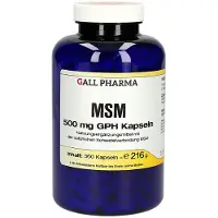 GALL PHARMA MSM 500 mg GPH Kapseln 360 St