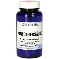 GALL PHARMA Pantothensäure 6 mg GPH Kapseln 120 St
