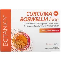 Green Future E-Commerce GmbH Curcuma+boswellia Forte Kapseln 60 St