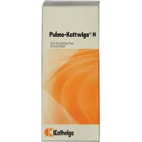 Kattwiga Arzneimittel GmbH Pulmo Kattwiga N Tropfen 100 ml
