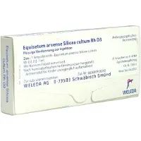 Weleda Equisetum Arvense Silicea cultum D 3 Ampullen 8 St
