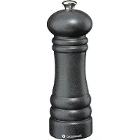 Zassenhaus Salzmühle BERLIN 18 cm gusseisen