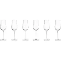 Georg Jensen Sektgläser Sky Crystalline 250 ml (6er-Set)