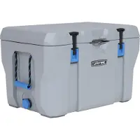 Lifetime Kunststoff Kühlbox Premium 73 L passive Kühlbox Grau 47x76x47 cm