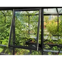 Vitavia Vitavia, Seitenfenster "H" für Vitavia Gewächshäuser, schwarz, 3 mm ESG