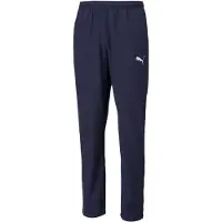 Puma Teamrise Sideline Hosen