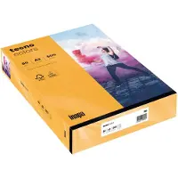 Inapa Kopierpapier colors mittelorange DIN A3 80 g/qm 500 Blatt