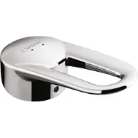 Hansgrohe HG Griff für Küchenmischer chrom