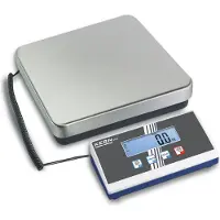Kern Plattformwaage 300kg / Auflösung 100 g, DKD/DAkkS-kalibriert