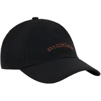 Dickies Wilsall Cap