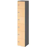 Hammerbacher -Schliessfachschrank 6OH Graphit/Ahorn,6xZS-V264L6/G/3/ZS